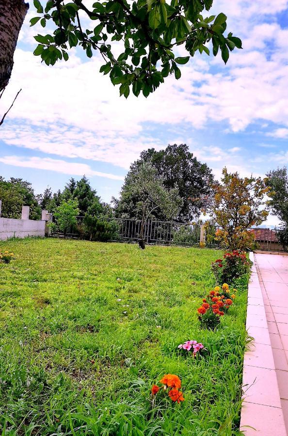 Villa Markic Дрвеник Экстерьер фото